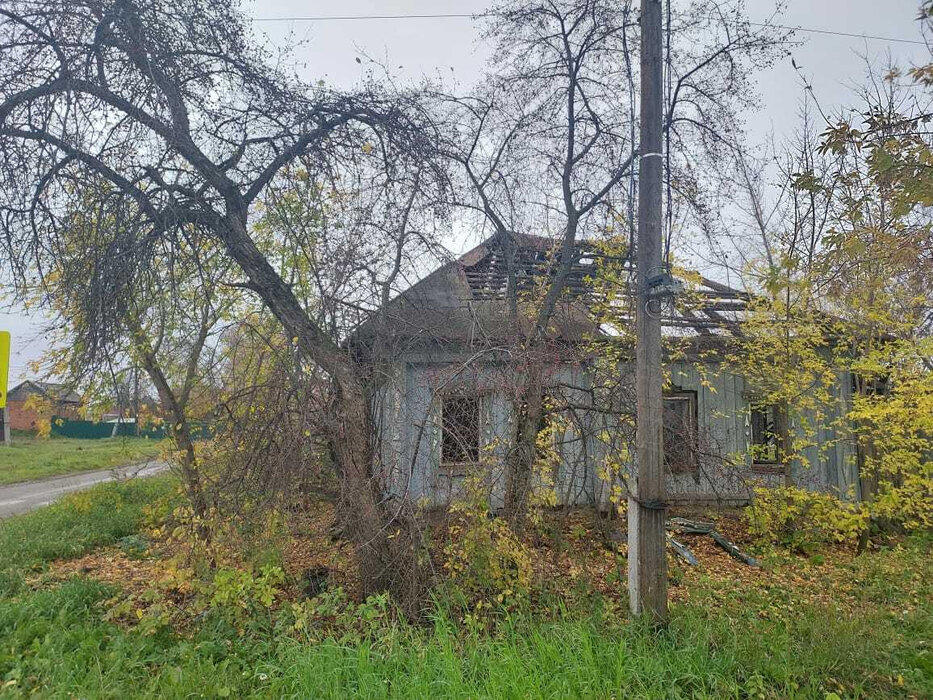 с. Никольское (г.о. Сысертский), ул. 1 Мая, 117 (городской округ Сысертский) - фото дома (2)