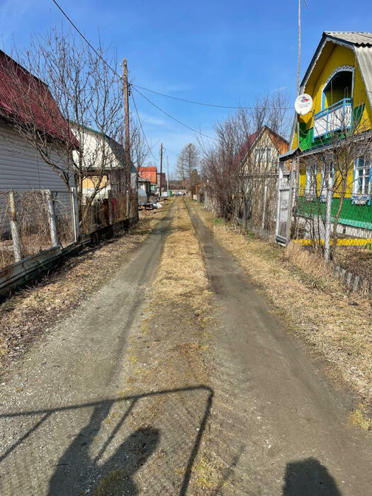 п. Аять, СНТ Строитель-80, уч. 36 (городской округ Невьянский) - фото сада (4)