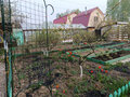 Продажа садового участка: г. Верхняя Пышма, СНТ Юбилейное (городской округ Верхняя Пышма) - Фото 5