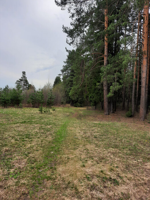 г. Ревда, ул. Панфилова (городской округ Ревда) - фото земельного участка (3)