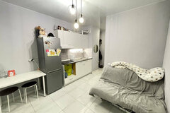 Екатеринбург, ул. Шаумяна, 20 (Юго-Западный) - фото квартиры