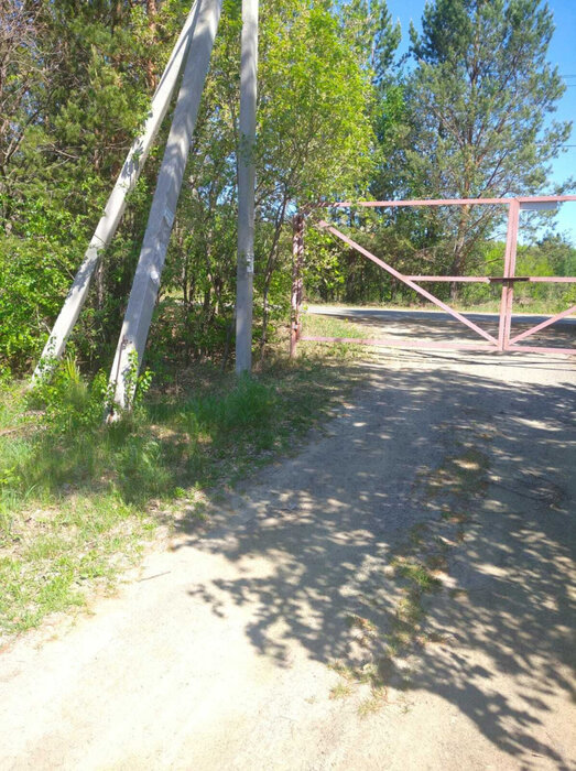 д. Гагарка, СНТ Автомобилист (городской округ Заречный) - фото сада (2)