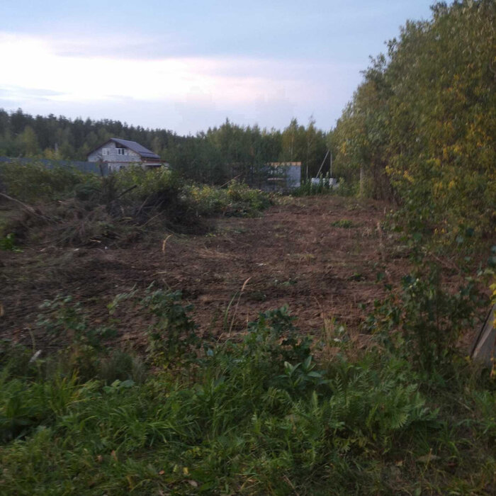 д. Гагарка, СНТ Автомобилист (городской округ Заречный) - фото сада (4)