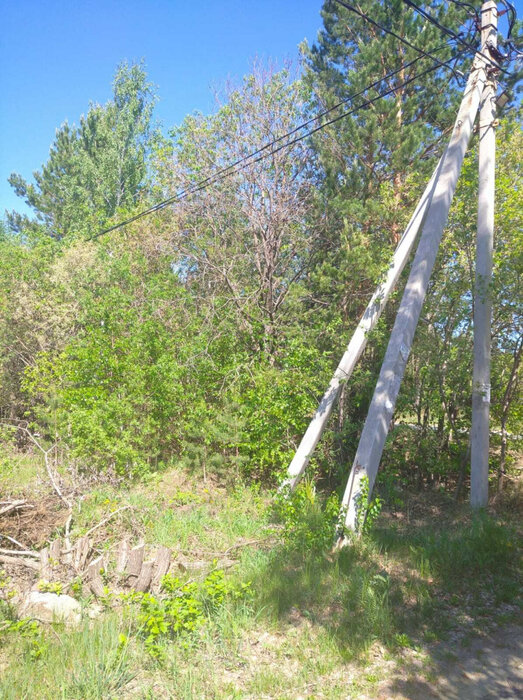 д. Гагарка, СНТ Автомобилист (городской округ Заречный) - фото сада (5)