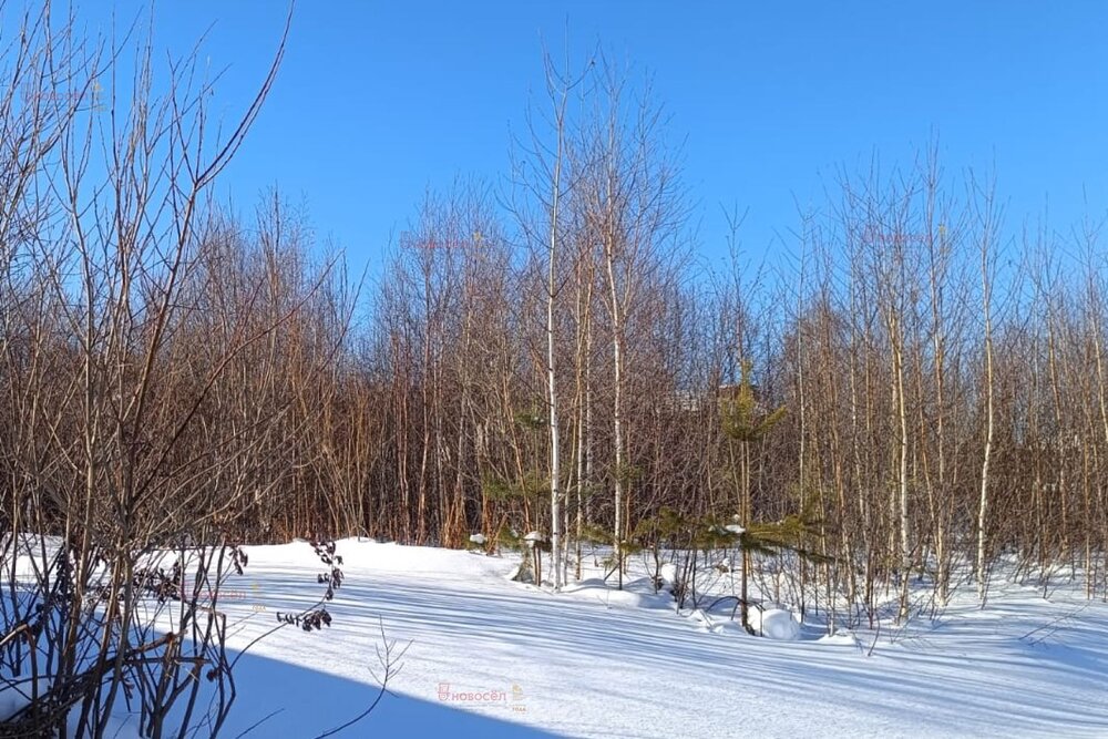 с. Балтым, ул. ДНТ Зайково (городской округ Верхняя Пышма) - фото земельного участка (4)