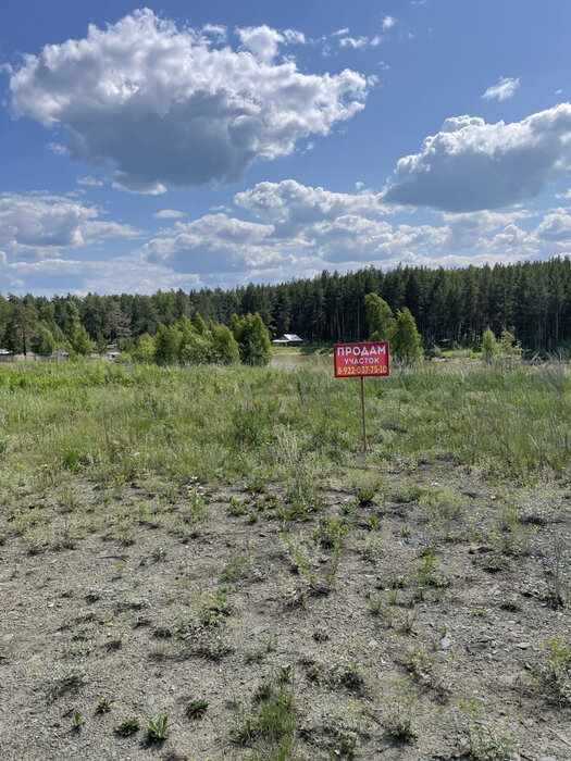 п. Сысерть, Тимофеевский пруд (городской округ Екатеринбург) - фото сада (3)