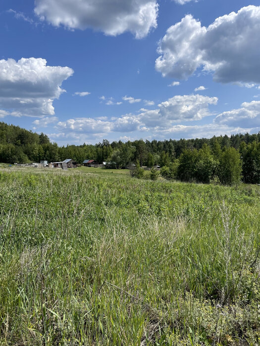 п. Сысерть, Тимофеевский пруд (городской округ Екатеринбург) - фото сада (5)