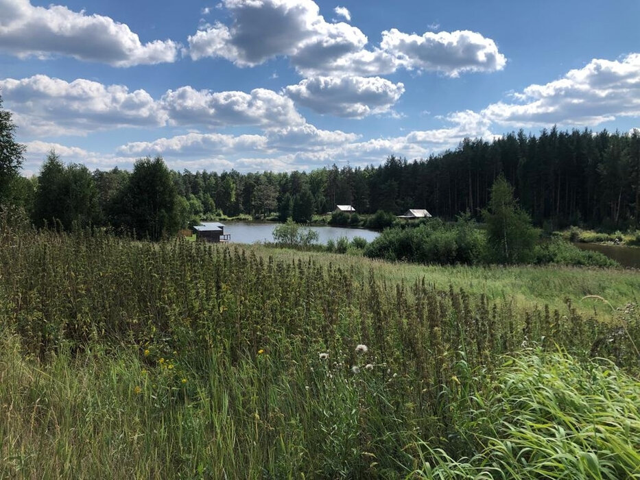 п. Сысерть, Тимофеевский пруд (городской округ Екатеринбург) - фото сада (6)