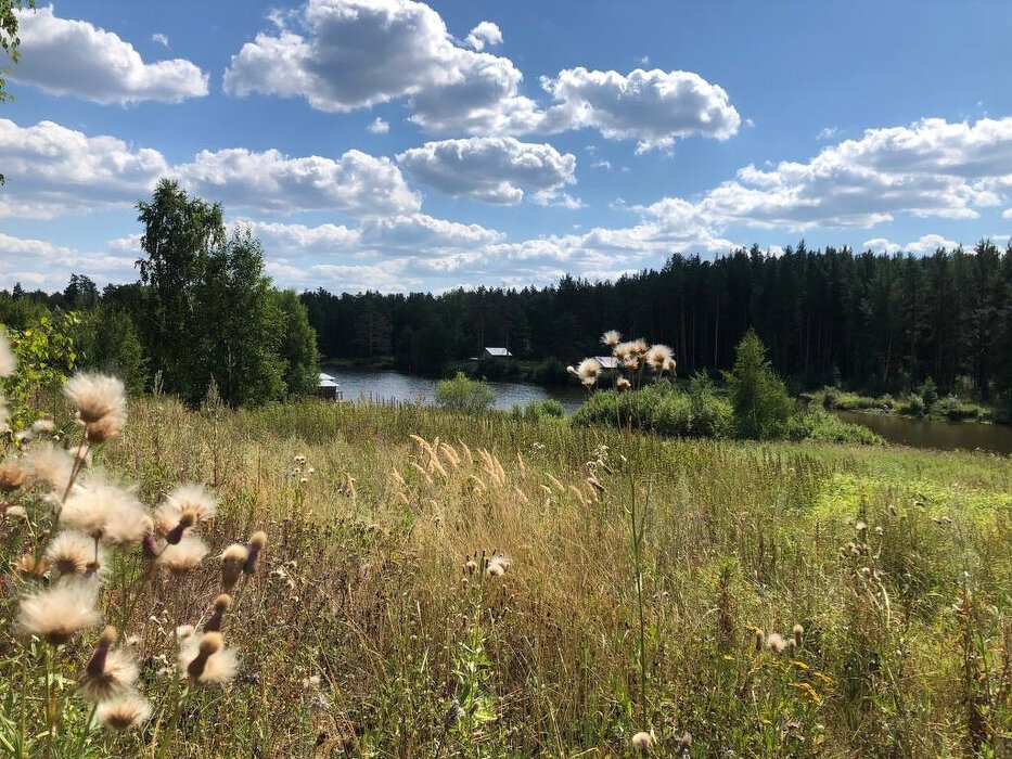 п. Сысерть, Тимофеевский пруд (городской округ Екатеринбург) - фото сада (8)