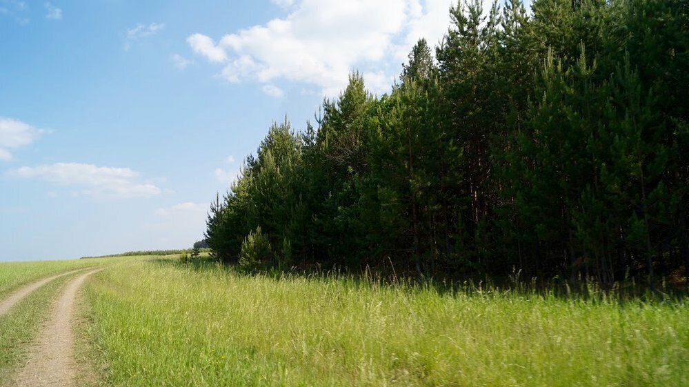 п. Прохладный, ул. КП Самолетный (городской округ Белоярский) - фото земельного участка (2)