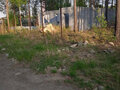 Продажа земельного участка: п. Кедровое, ул. Родниковая, 18 (городской округ Верхняя Пышма) - Фото 3