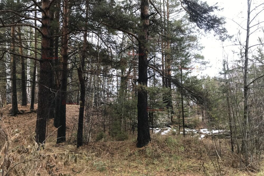 п. Шайдуриха, ул. Плотина (городской округ Невьянский) - фото земельного участка (3)