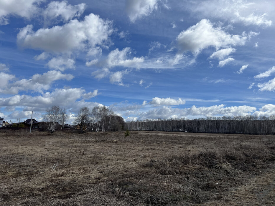 с. Курганово (городской округ Полевской) - фото земельного участка (5)