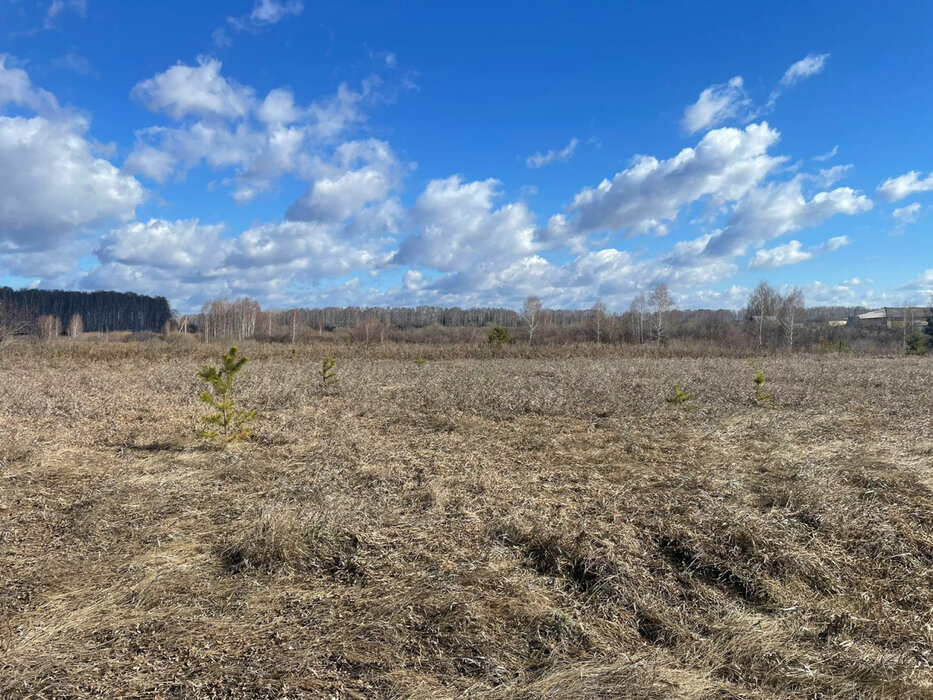 с. Покровское (г.о. Каменск-Уральский), уч. 49 (городской округ Город Каменск-Уральский) - фото земельного участка (1)