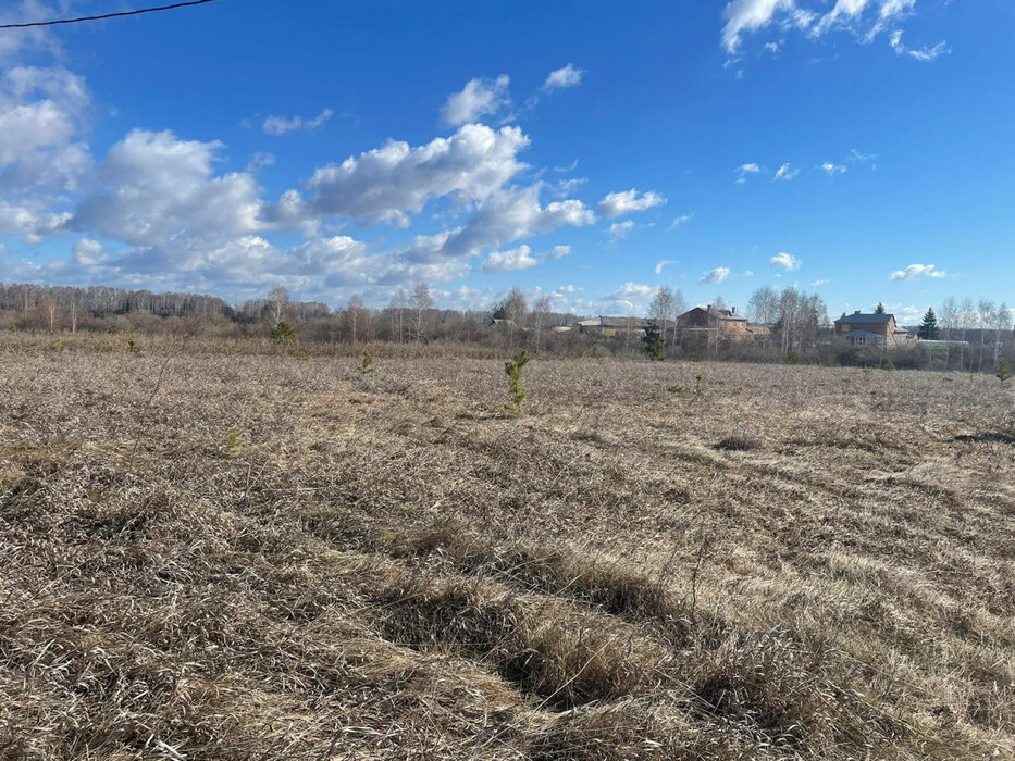 с. Покровское (г.о. Каменск-Уральский), уч. 49 (городской округ Город Каменск-Уральский) - фото земельного участка (3)