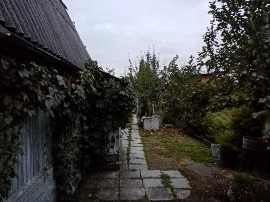 Екатеринбург, к/с СМУ-3, ул. Ручейная (Широкая речка) - фото сада (8)