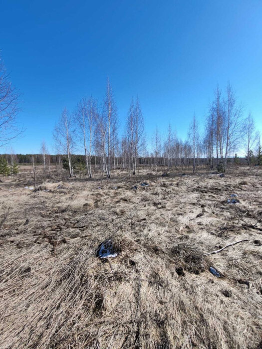 г. Березовский (городской округ Березовский) - фото земельного участка (2)