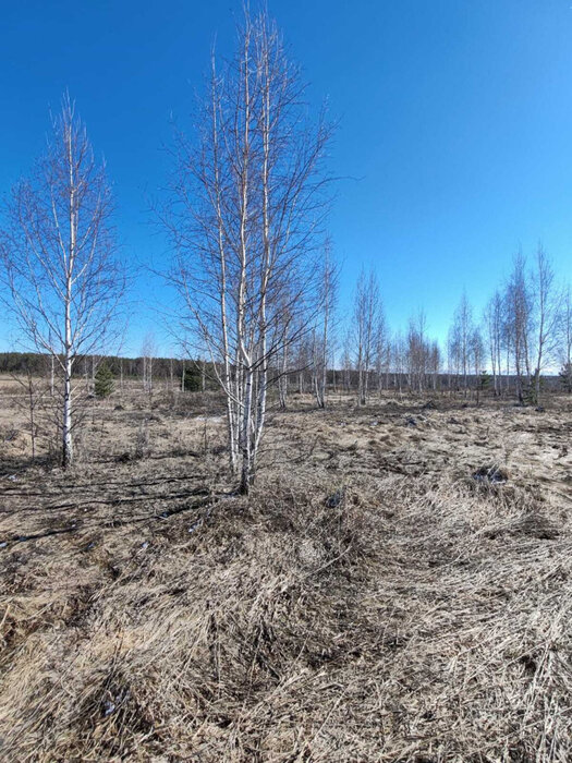 г. Березовский (городской округ Березовский) - фото земельного участка (2)