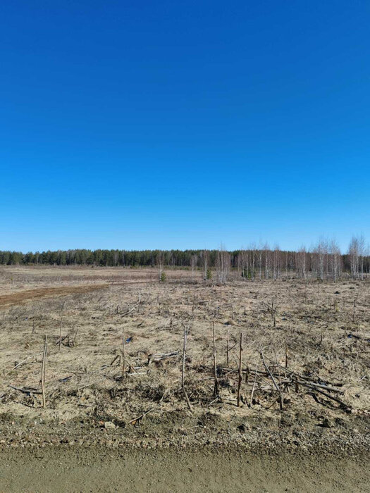 г. Березовский (городской округ Березовский) - фото земельного участка (3)