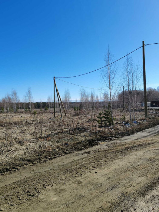 г. Березовский (городской округ Березовский) - фото земельного участка (4)