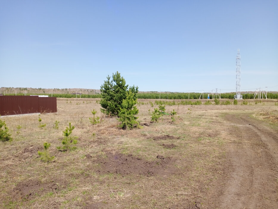 к.п. Добрый город (городской округ Полевской, с. Курганово) - фото земельного участка (2)