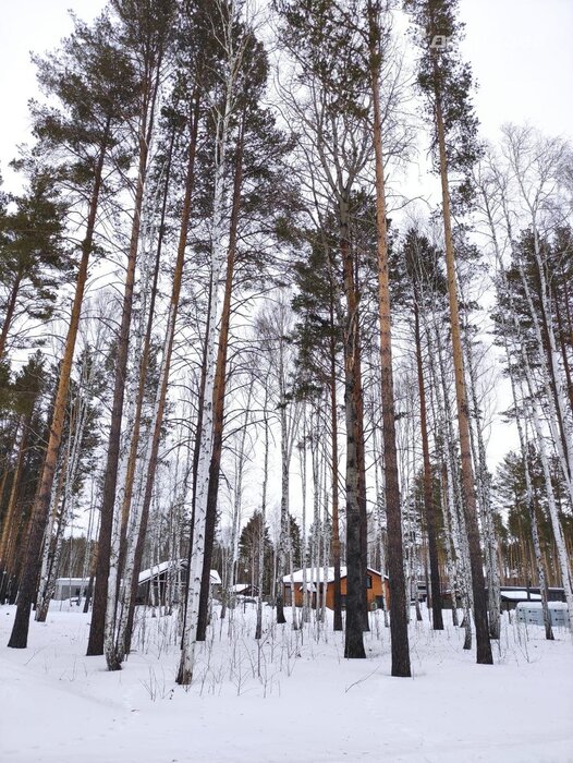 к.п. Заповедник, ул. Изумруд (городской округ Сысертский, п. Габиевский) - фото земельного участка (1)