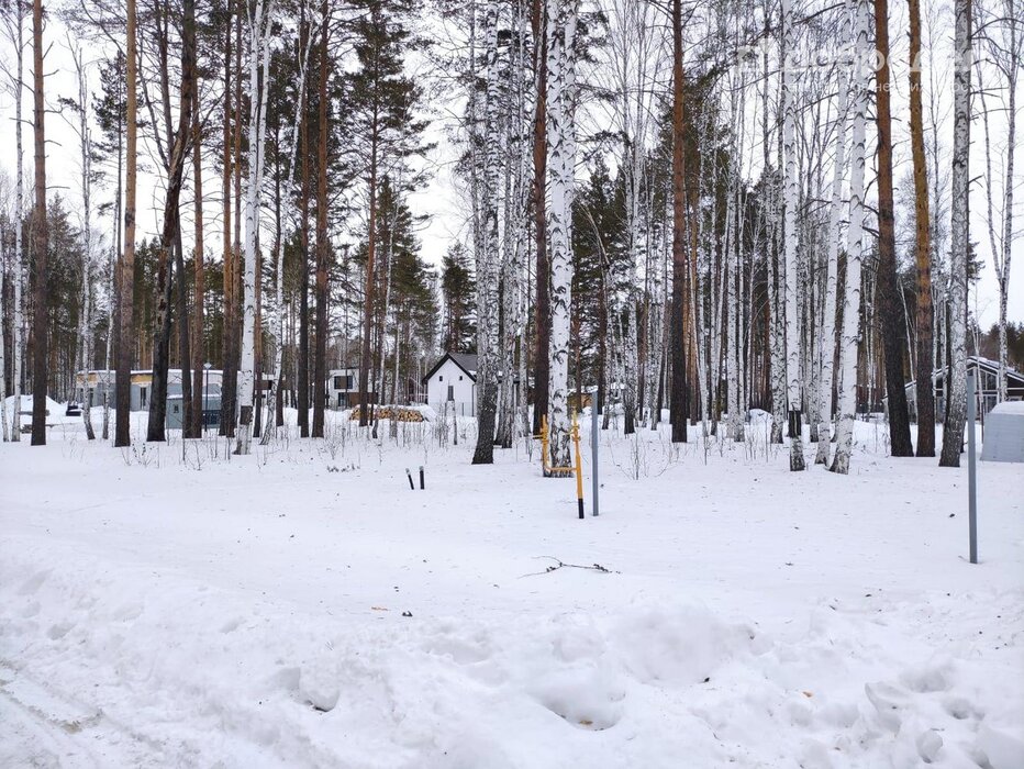 к.п. Заповедник, ул. Изумруд (городской округ Сысертский, п. Габиевский) - фото земельного участка (3)