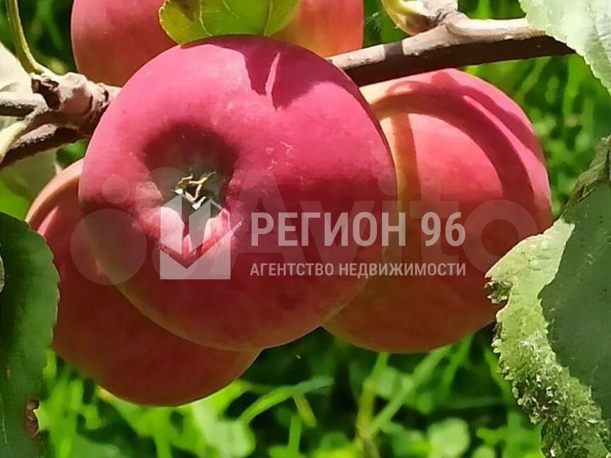 к.п. Мельница, д.   (городской округ Белоярский) - фото дома (3)