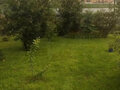 Продажа коттеджей: г. Арамиль, ул. Щорса, 76 (городской округ Арамильский) - Фото 7