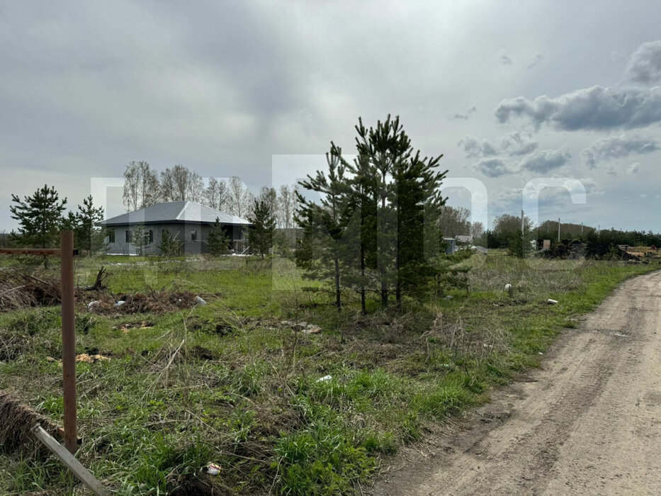 ДНП «Аэродром», ул. Кедровая (Екатеринбург, с. Горный щит) - фото земельного участка (4)