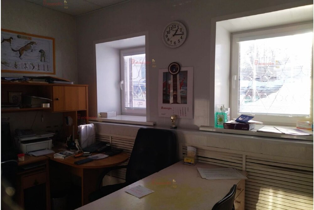 г. Новоуральск, ул. Мамина Сибиряка, 1а (городской округ Новоуральский) - фото офисного помещения (5)
