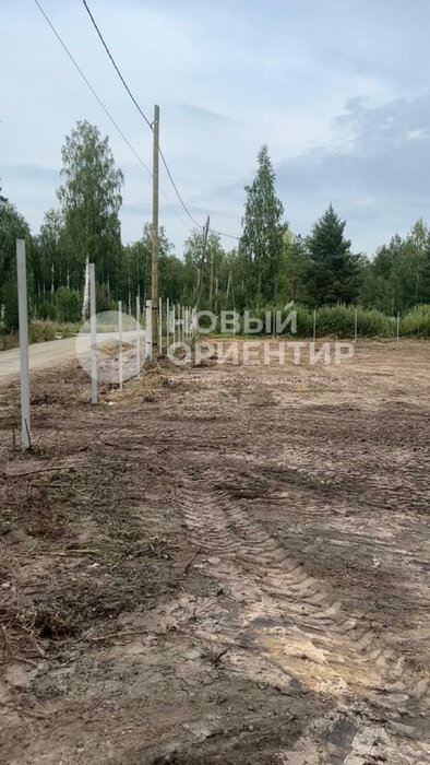 пгт. Верхнее Дуброво, СНТ Рябина (городской округ Верхнее Дуброво) - фото сада (7)