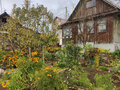 Продажа садового участка: г. Первоуральск, СТ № 4 (городской округ Первоуральск) - Фото 2