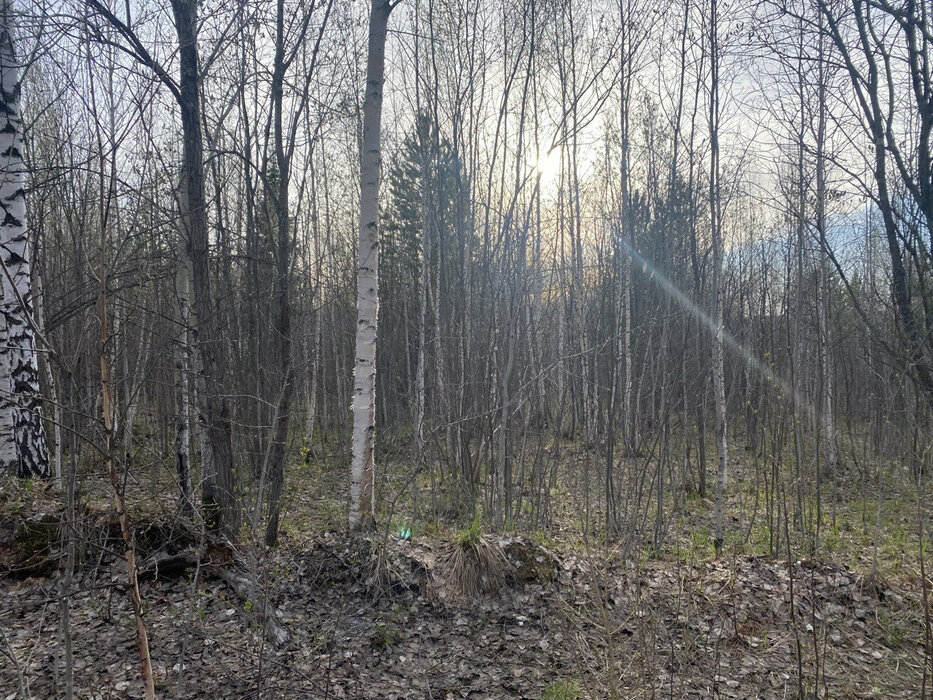 с. Первомайское (Нижнесергинский р-он), ул. Черемшанка (Нижнесергинский район) - фото сада (3)