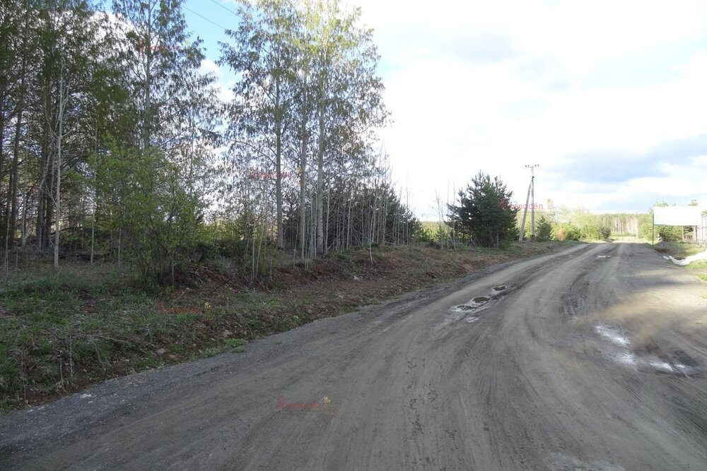 с. Кашино, ул. Лесной ручей, 38 (городской округ Сысертский) - фото земельного участка (7)