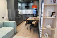 Екатеринбург, ул. Ландау, 1 (Академический) - фото квартиры