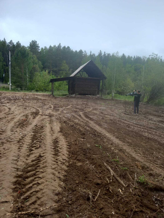 с. Кашино, ул. ДПК Сосновый Бор (городской округ Сысертский) - фото земельного участка (2)