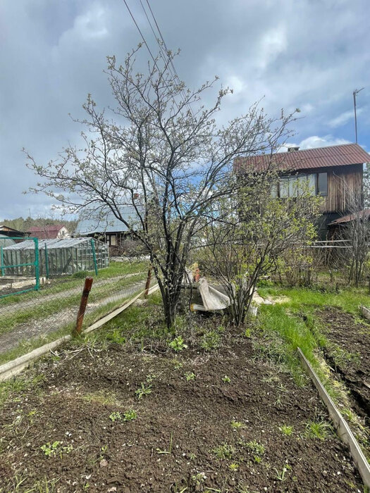 СНТ Строитель, 5-я улица (городской округ Белоярский) - фото сада (1)