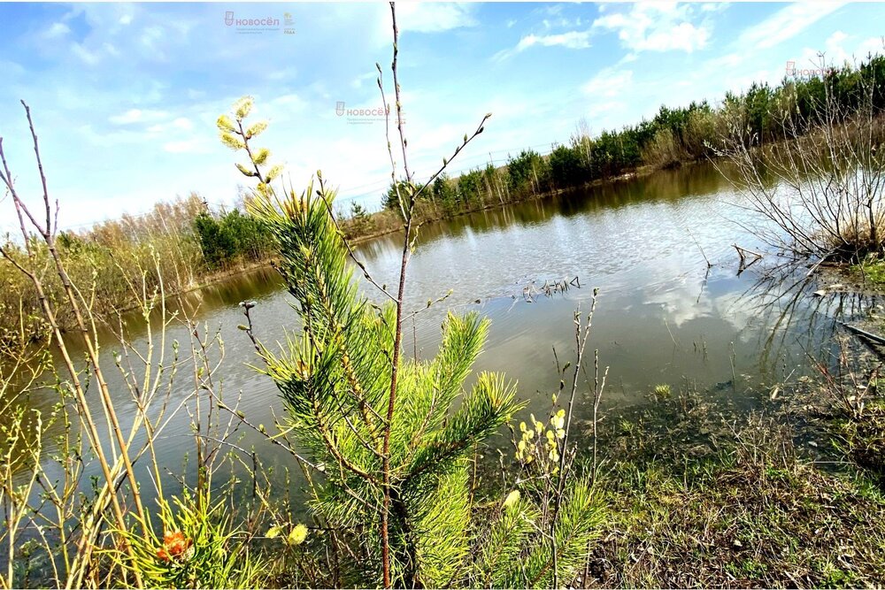 д. Гусева, ул. Мраморная (городской округ Белоярский) - фото земельного участка (5)