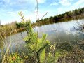 Продажа земельного участка: д. Гусева, ул. Мраморная (городской округ Белоярский) - Фото 5
