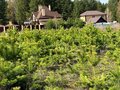 Продажа земельного участка: д. Гусева, ул. Мраморная (городской округ Белоярский) - Фото 2