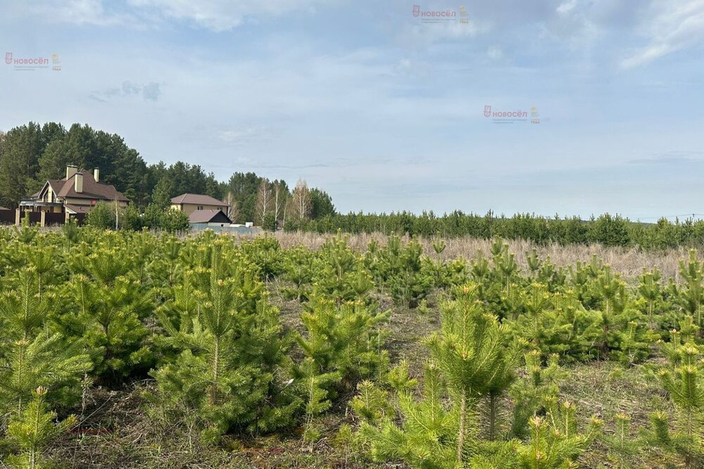 д. Гусева, ул. Мраморная (городской округ Белоярский) - фото земельного участка (5)