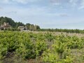 Продажа земельного участка: д. Гусева, ул. Мраморная (городской округ Белоярский) - Фото 5