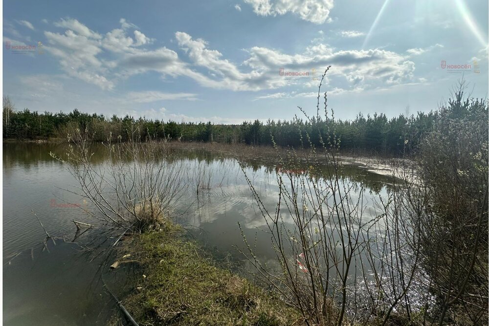 д. Гусева, ул. Мраморная (городской округ Белоярский) - фото земельного участка (6)