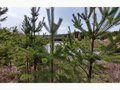 Продажа земельного участка: д. Гусева (городской округ Белоярский) - Фото 4