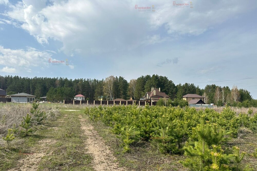 д. Гусева (городской округ Белоярский) - фото земельного участка (5)