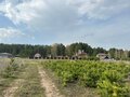 Продажа земельного участка: д. Гусева (городской округ Белоярский) - Фото 5