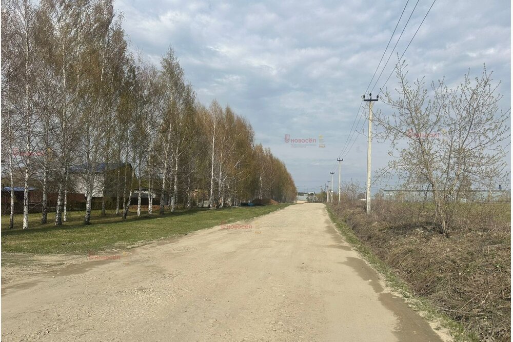 д. Гусева (городской округ Белоярский) - фото земельного участка (6)