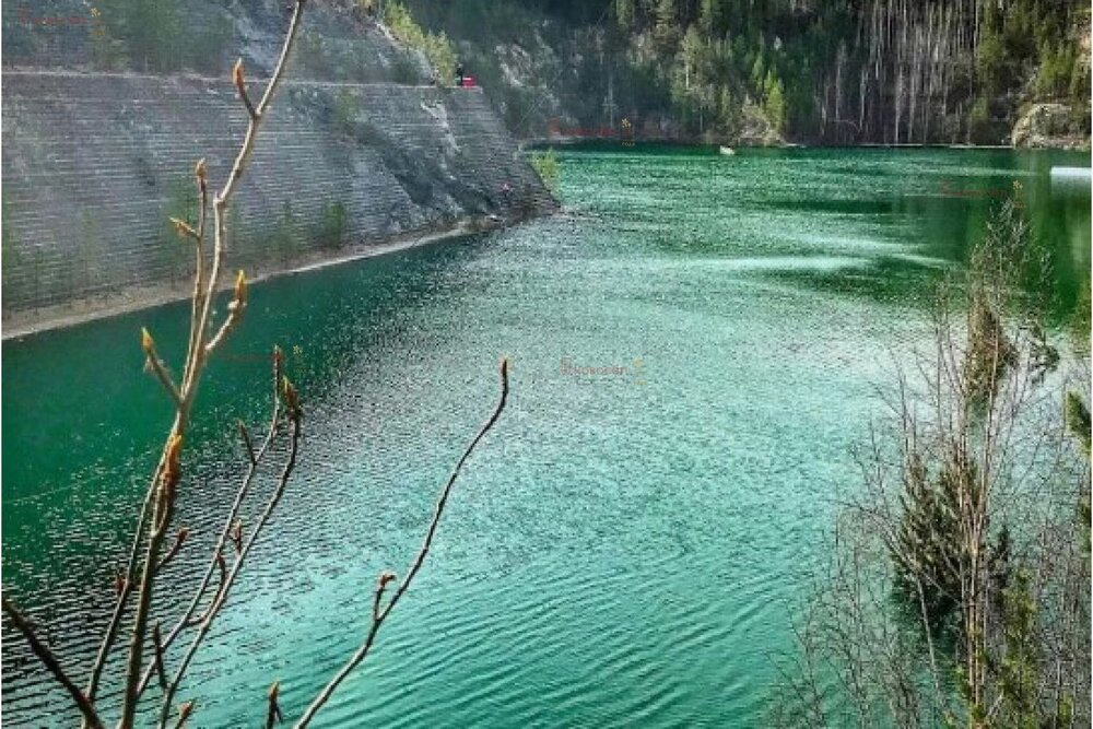 Екатеринбург, ул. Российская, 6 (Шабровский) - фото коттеджа (5)