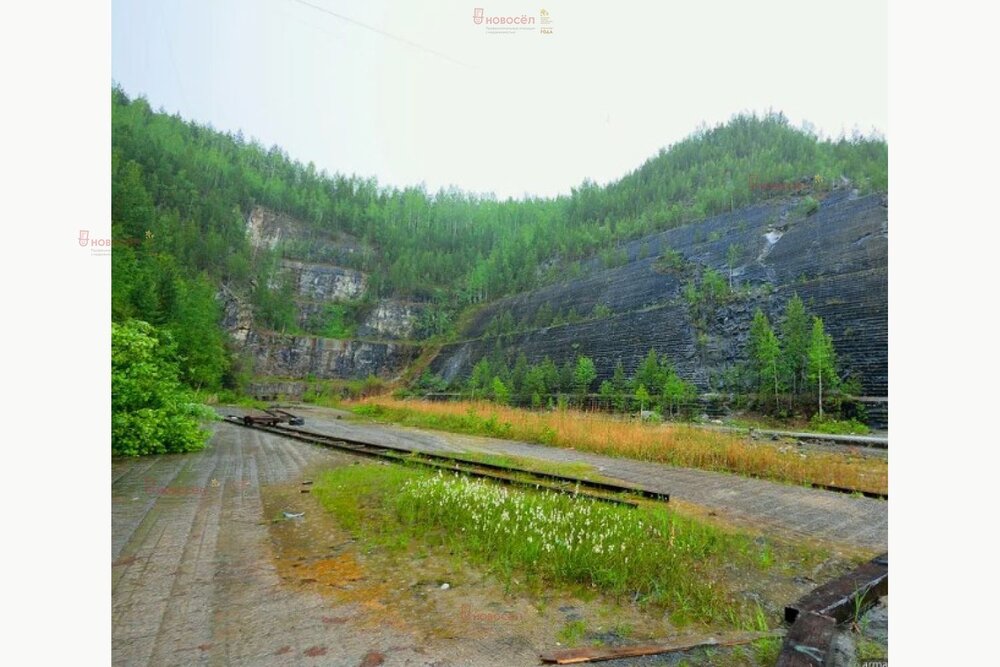 Екатеринбург, ул. Российская, 6 (Шабровский) - фото коттеджа (8)